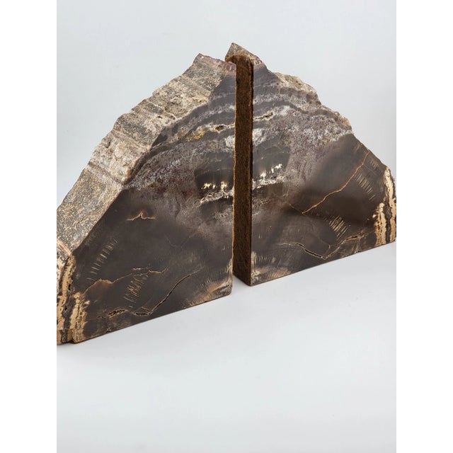 Mid 20th Century Antique & Unique Set of Polished Petrified Wood Bookends. Amazing Specimen. For Sale - Image 5 of 14
