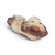 Late 19th Century English Staffordshire Glass-Eyed Spaniel Mantel Dog For Sale - Image 9 of 13