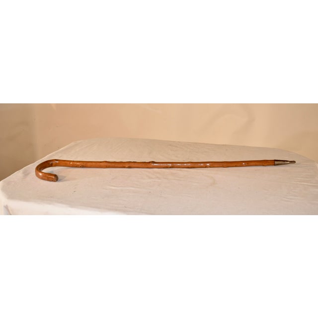 Vintage European Walking Stick With 12 Badges For Sale - Image 10 of 12