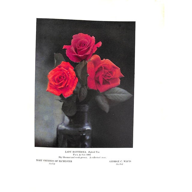 White "The Practical Book of Outdoor Rose Growing" 1915 Thomas, George C. Jr For Sale - Image 8 of 10