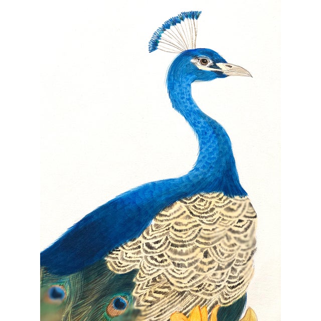 A vibrant and lush paradise of Mandavilla, Tumeric and Nag Champa is the perfect spot for this regal peacock to pose. This...
