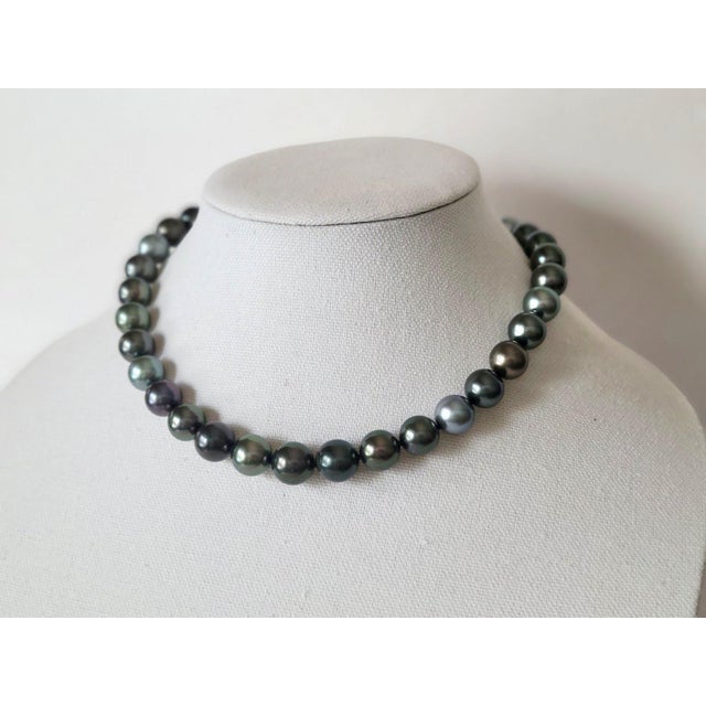 Contemporary South Sea Tahitian Black Pearl Necklace With 14k White Gold Clasp For Sale - Image 3 of 9