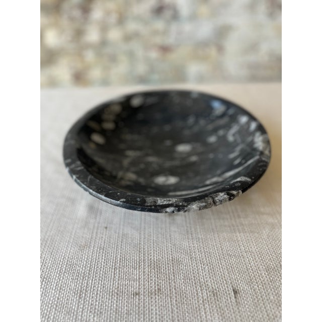 Goniatite Bowl For Sale - Image 4 of 8