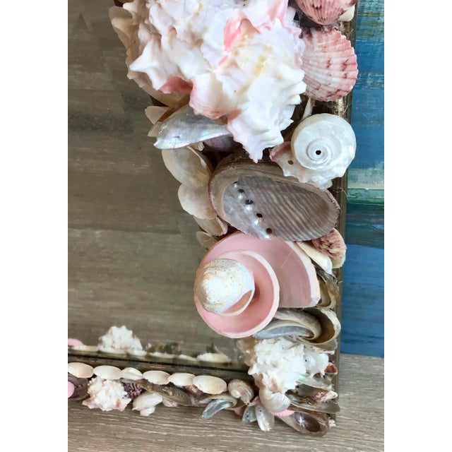 Large Pink Shell Spirals Highlighted by Silver Grey Shells For Sale - Image 4 of 12