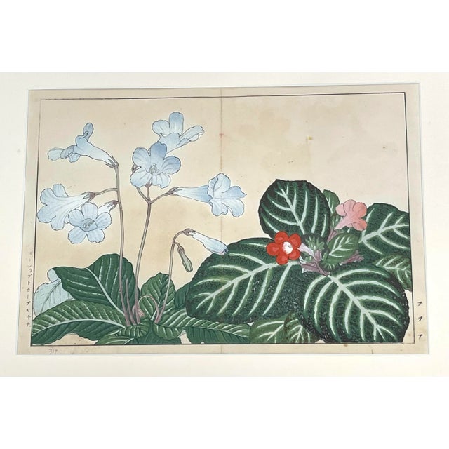 Pink Antique Gilded Japanese Woodblock Signed Tanigami Konan a Pair For Sale - Image 8 of 13