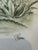 Storybook Pair of Whimsical Botanical & Garden Prints For Sale In Phoenix - Image 6 of 9