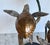 Late 20th Century Late 20th Century Fine Bronze Sea Turtle Turtles Sculpture by Joseph Quillan Moonlight Carousel For Sale - Image 5 of 12