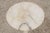 1930s Antique Italian Neoclassical Marble Column Pedestal Table For Sale - Image 5 of 13
