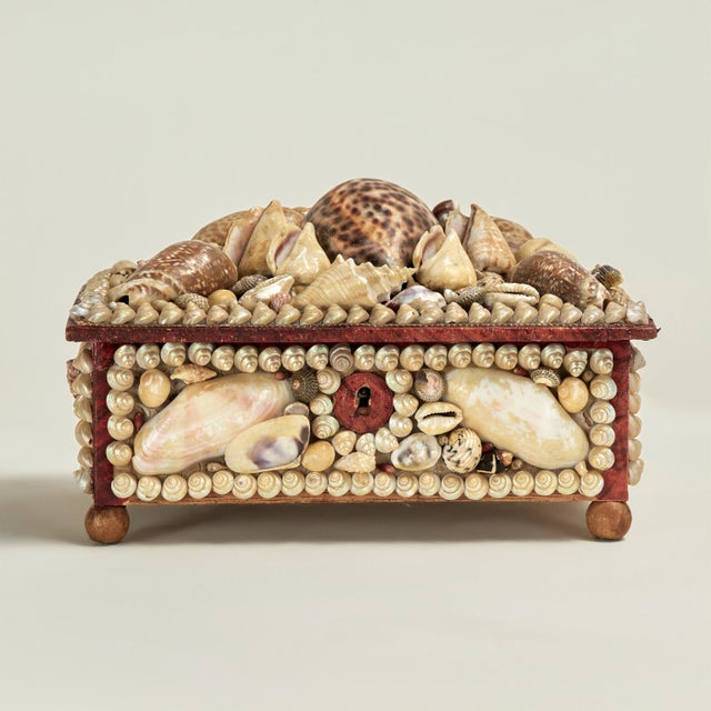 Enchanting 19th century British jewelry box ambitiously encrusted with exotic seashells with exposed areas covered in...
