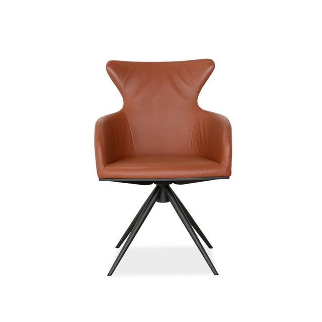 Luno Chairs in Brown Leather from Bert Plantagie, Set of 4 For Sale - Image 17 of 18