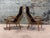 Mid-Century Modern Scandinavian Lamino Leather Lounge Chairs by Yngve Ekstrom, 1956 For Sale - Image 3 of 9