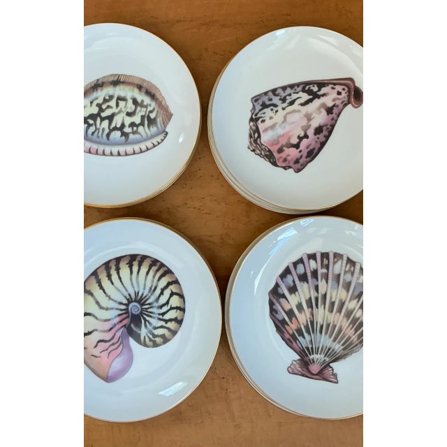 White Vintage Coastal Fitz and Floyd Shell Motif Ceramic Plates - Set of Twelve For Sale - Image 8 of 12