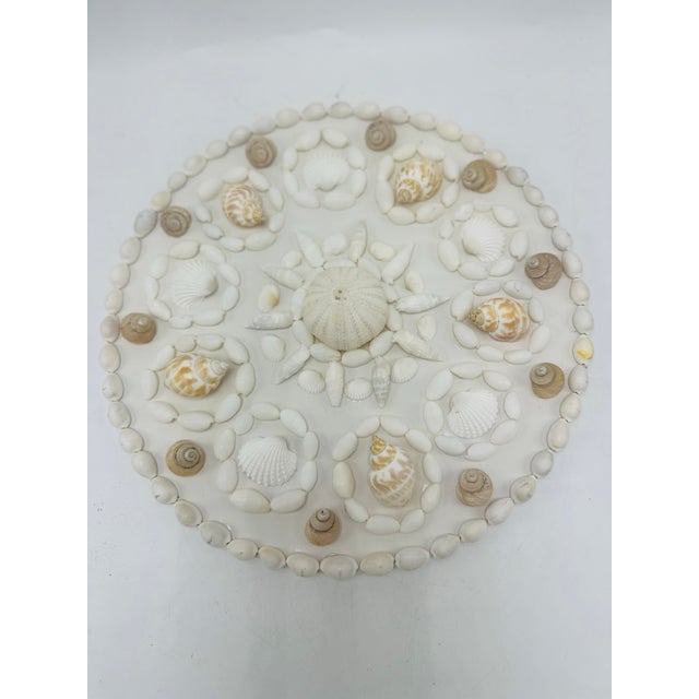 Coastal Hand Crafted Shell Art Wall Sculpture For Sale - Image 3 of 10