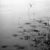 Paul Cooklin, Study III, Edition of 50 For Sale - Image 4 of 4