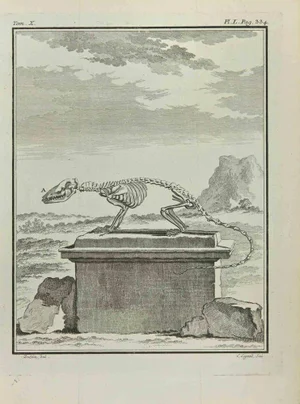Louis Legrand, Skeleton, Etching, 1771