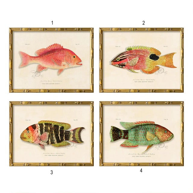 2020s Contemporary Reproduction of Vintage Fish (2) Art Print, Framed For Sale - Image 5 of 5