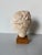 Mediterranean Vintage Handcrafted Hygieia Greek Goddess Plaster Bust Sculpture on Wood Base For Sale - Image 3 of 12
