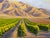2000 - 2009 Laurel Sherrie Signed Rancho Sisquoc Flood Family Vineyard Memories of Foxen of Canyon California Oil Painting 2005 Framed Santa Barbara County For Sale - Image 5 of 18