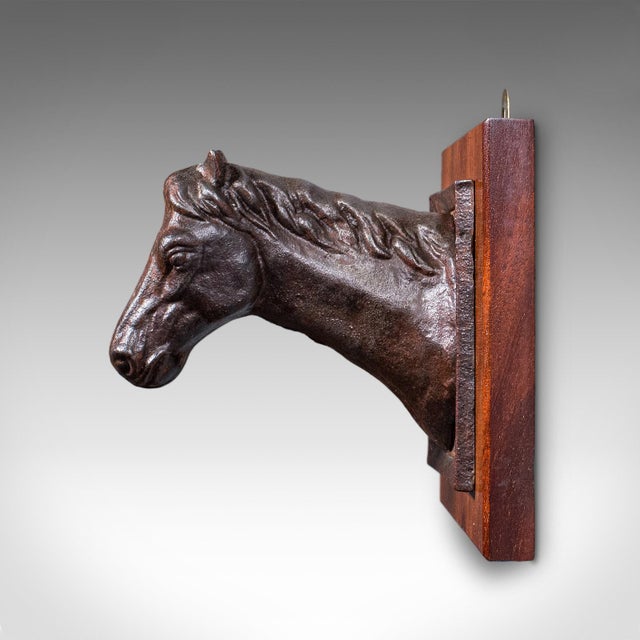 1900 - 1909 Antique Mounted Horse Bust, English, Iron, Coat Hook, Equestrian Tack, Edwardian For Sale - Image 5 of 10