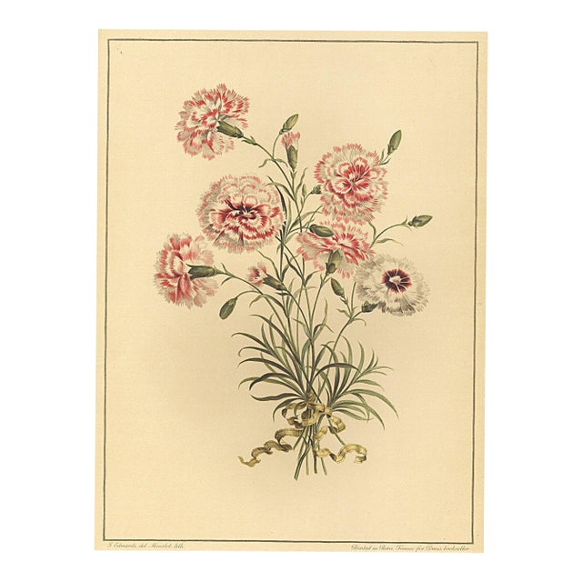 1940 French Botanical Lithograph-Carnations For Sale