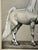 American 1940s Original Signed Graphite Illustration of "The Golden Horse," 12 × 10 In. For Sale - Image 3 of 7