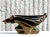 Ceramic Midcentury Art Deco Style Glazed Ceramic Horse Lamp For Sale - Image 7 of 12