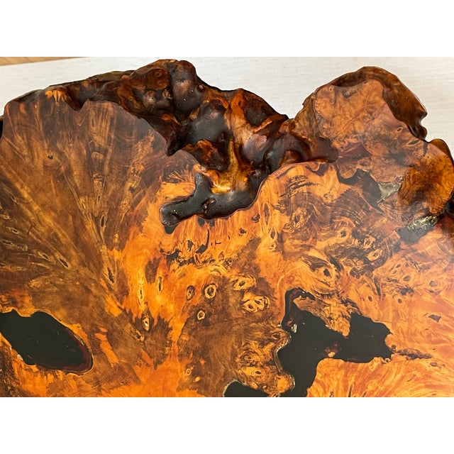Gorgeous 1960 Tedeood Slab Stump Root Live Edge Coffee Table For Sale In Miami - Image 6 of 17