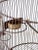 French Victorian Style Large Birdcage For Sale - Image 6 of 13