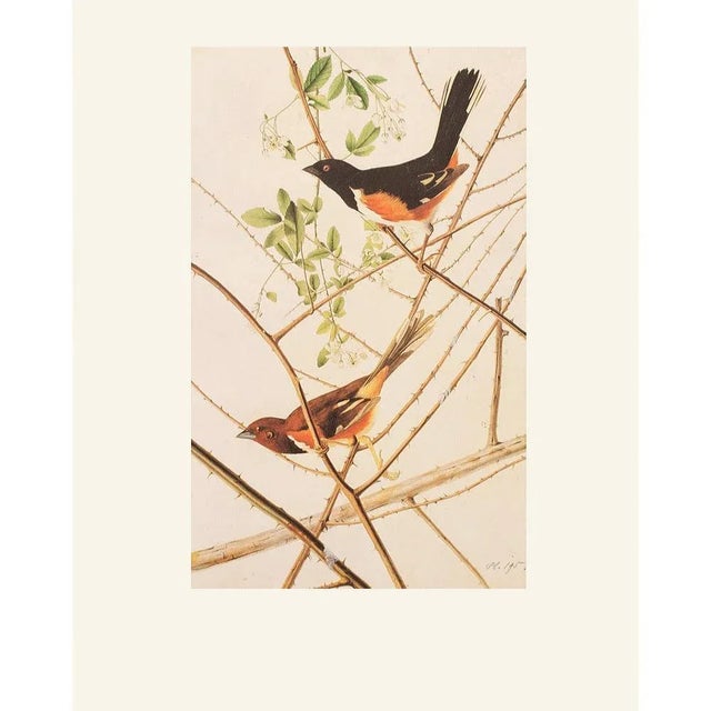 A stunning vintage Cottage, Farmhouse, Tradition or American Classical Style reproduction of the original lithographic...