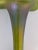 Antique Pallme-Konig Art Nouveau Green Iridescent Art Glass Vase For Sale - Image 9 of 9