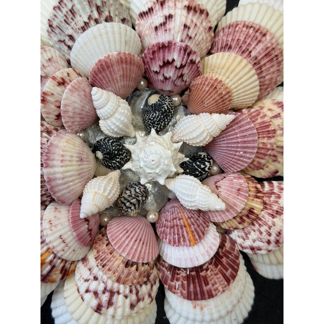 2020s Custom Framed Seashell Wall Art in the Manner of a Sailor’s Valentine For Sale - Image 5 of 12