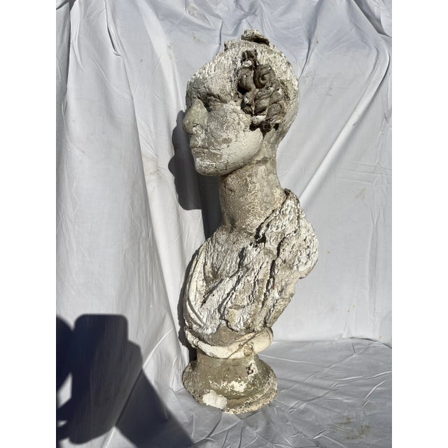 Antique Plaster Female Bust Sculpture For Sale - Image 4 of 9