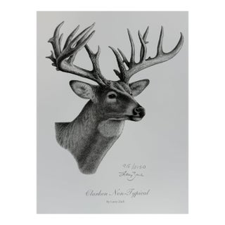 1990s Clarken Non Typical Deer Head by Larry Zach ~ Le Signed Numbered Print For Sale