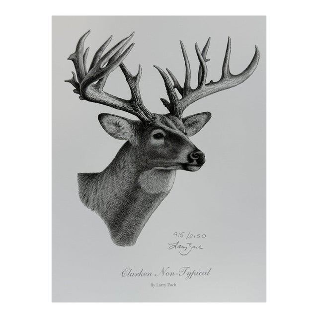 1990s Clarken Non Typical Deer Head by Larry Zach ~ Le Signed Numbered Print For Sale
