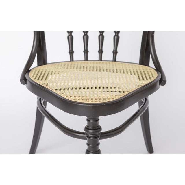 Bentwood Armchair with Vienna Cane Seat, 1990s Unknown manufacturer. Elegant bentwood armchairs from the 1990s, featuring...