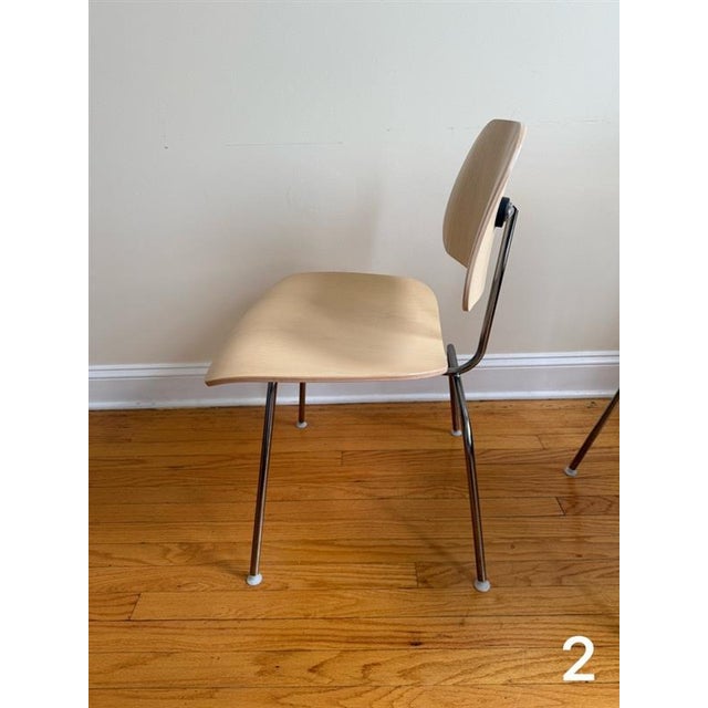 Eames Molded Plywood Dining Chair Metal Base Set of 4 For Sale - Image 9 of 18