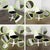 Mid-20th Century MCM Burke Tulip Side Chairs No 103 White Shell Black Cushions Oval Stationary 4 Prong Base Set of 4 For Sale - Image 14 of 18