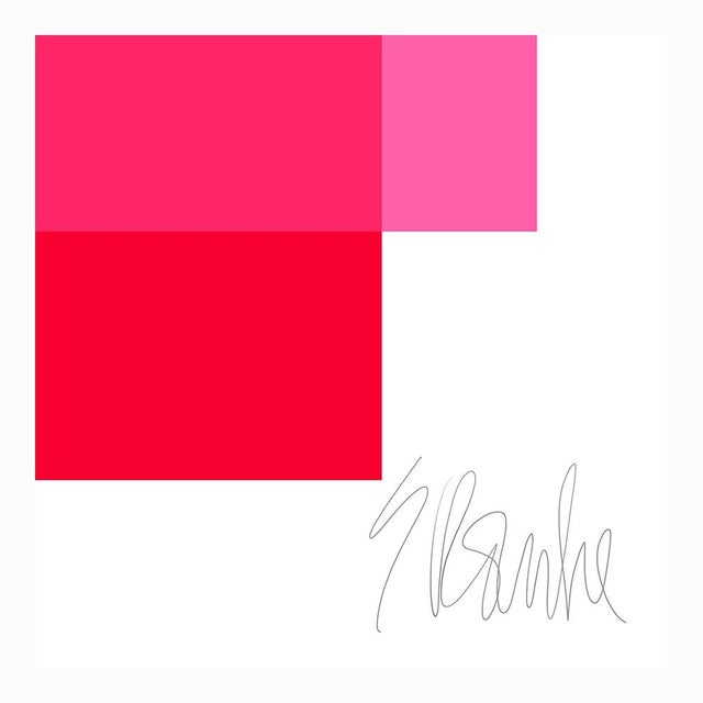 Not Yet Made - Made To Order The Interaction of Bright Pink and Red Fine Art Print 20" X 24" by Liz Roache For Sale - Image 5 of 6