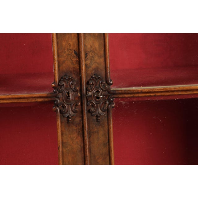 Mid 19th Century Antique Biedermeier Display Cabinet in Walnut, 1860 For Sale - Image 5 of 18