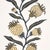 Contemporary SAMPLE - Schumacher x Marian Mcevoy Thistle Vine Wallpaper In Black & Gold For Sale - Image 3 of 4