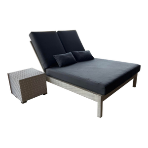 Janus Et Cie Double Chaise