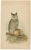 John L. Ridgway, Dwarf Screech Owl, Burrowing Owl and Great Horned Owl, 1893, Paper, Set of 3 For Sale - Image 4 of 6