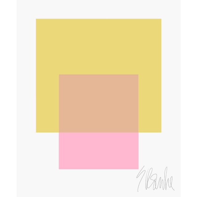 Paper The Interaction of Celery Green and Light Pink Fine Art Print 35" X 45" by Liz Roache For Sale - Image 7 of 7