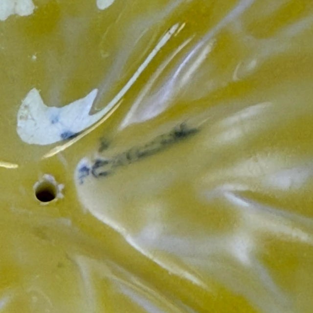 Ceramic Vintage Portuguese Secla Yellow Cabbageware Divided Relish Plate, 1970s Majolica Pottery For Sale - Image 7 of 8