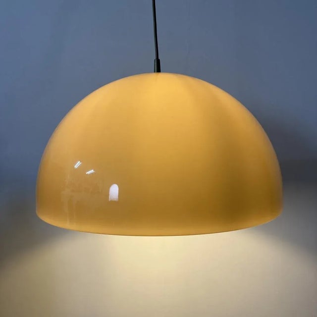 Brown Mushroom Pendant, 1970s For Sale - Image 16 of 18