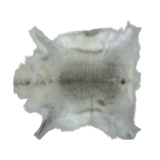 Reindeer Hide Rug For Sale