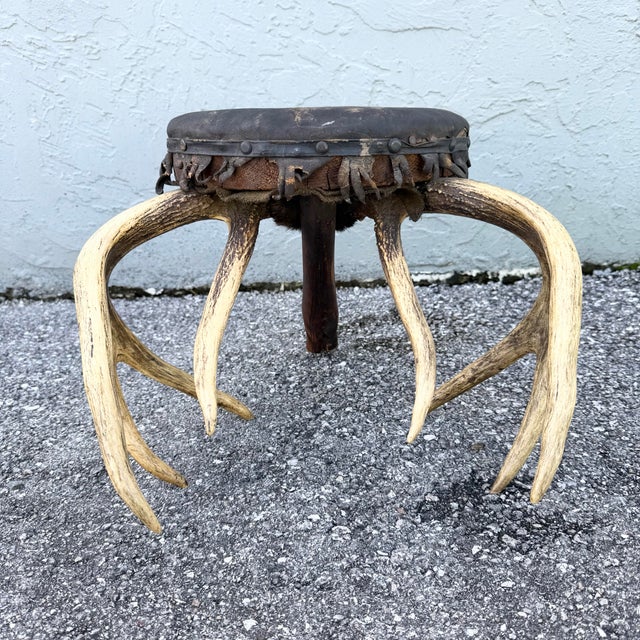 Early 20th Century American Rustic Deer Antler Footstool For Sale In West Palm - Image 6 of 8
