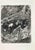 Etching on Montval paper, realized between 1927 and 1930. Table from "Les Fables de La Fontaine", published in 1952 in and...