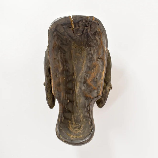 Early 20th Century Baule Wooden Ram Mask Gbagba Cote d'Ivoire For Sale - Image 9 of 9