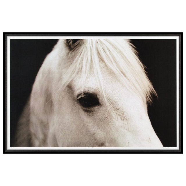 Realism Horse Eye, John Maggiotto For Sale - Image 3 of 7